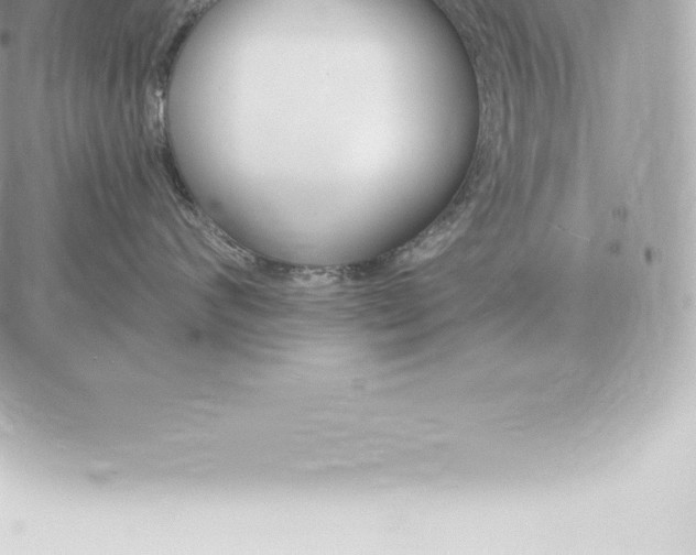 X0000060270624200511112048