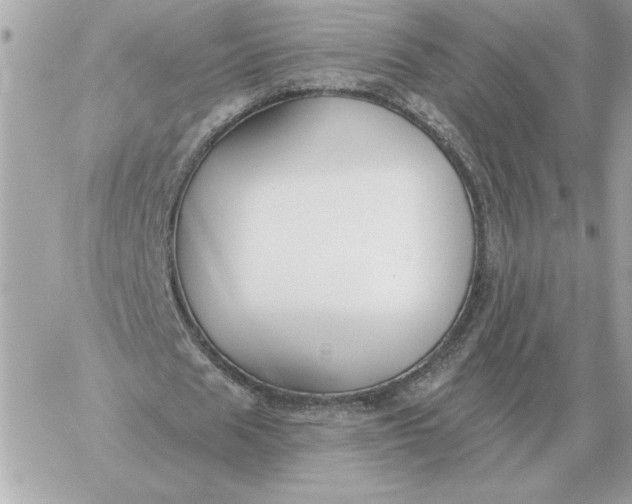 X0000060270625200511112048