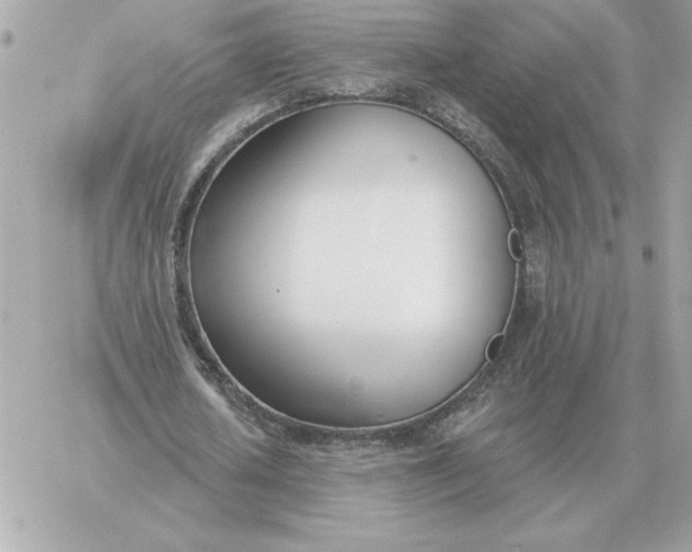 X0000060270626200511112048