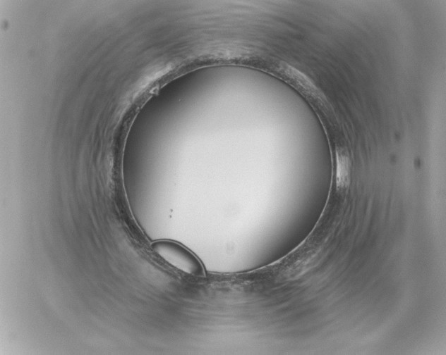 X0000060270627200511112048