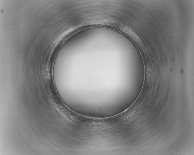 X0000060270628200511112048