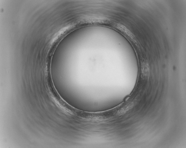 X0000060270629200511112048