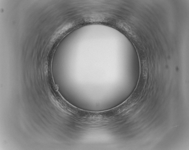 X0000060270631200511112048