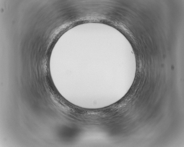 X0000060270632200511112048