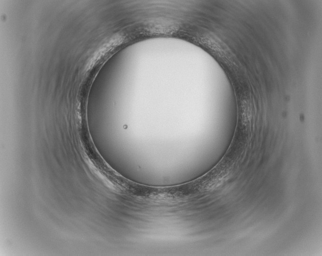 X0000060270634200511112048