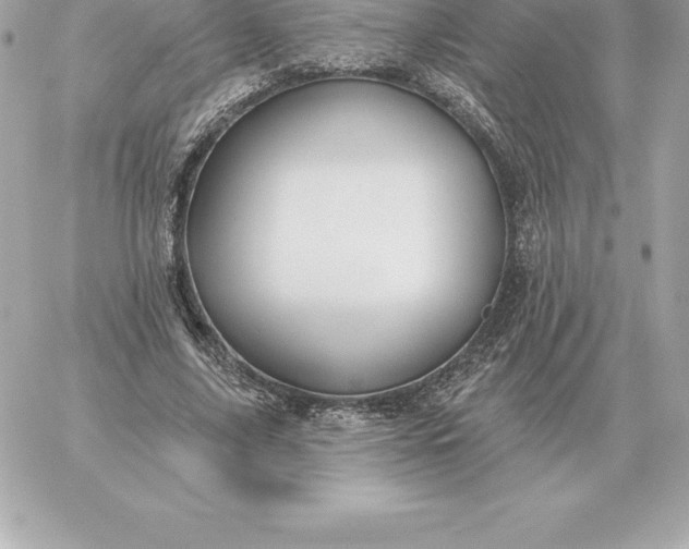 X0000060270635200511112048