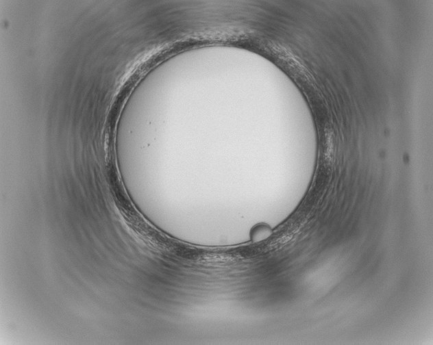 X0000060270636200511112048