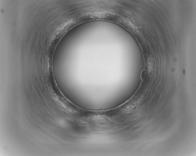 X0000060270637200511112048