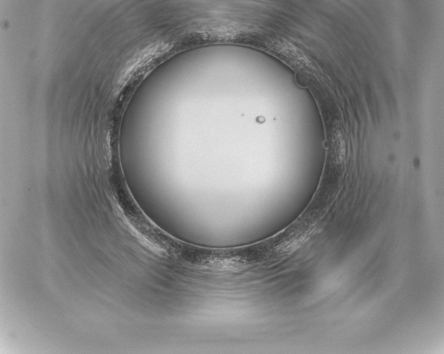 X0000060270638200511112048