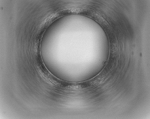 X0000060270639200511112048