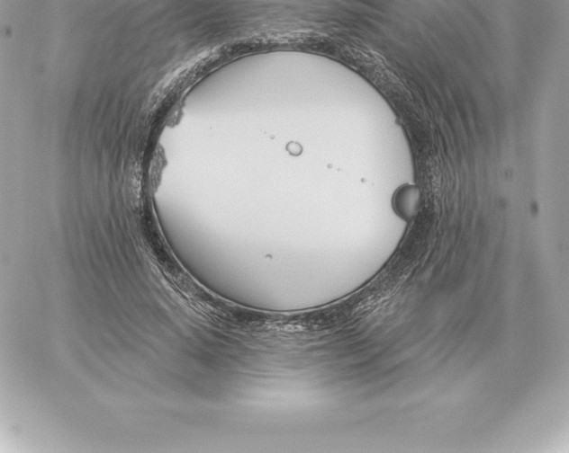 X0000060270640200511112048