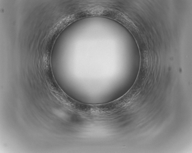 X0000060270641200511112048