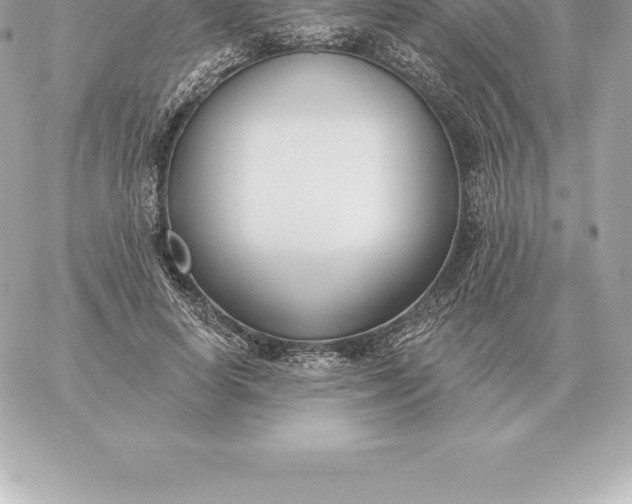 X0000060270642200511112048