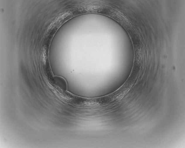 X0000060270644200511112048