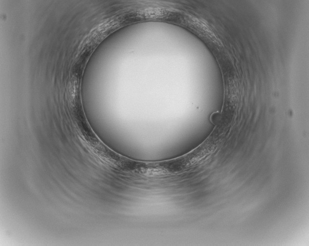 X0000060270645200511112048