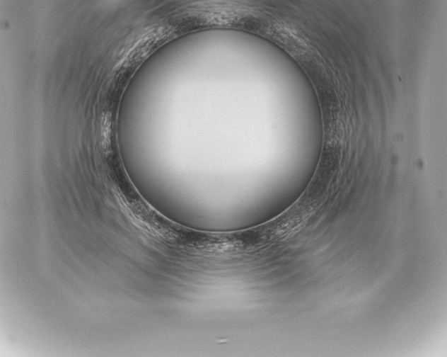 X0000060270646200511112048