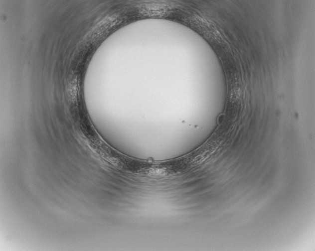 X0000060270647200511112048