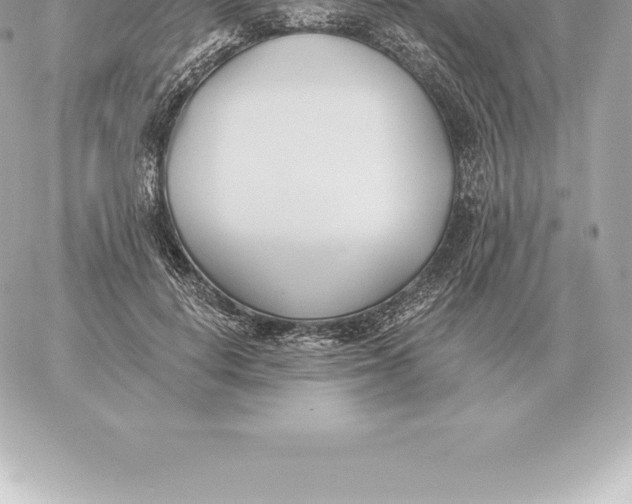 X0000060270648200511112048