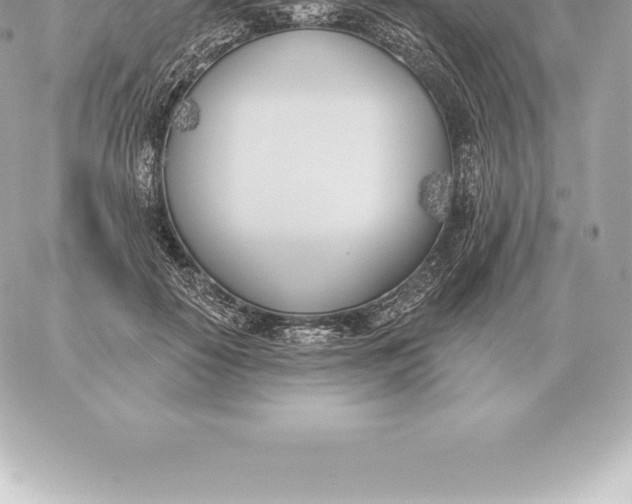 X0000060270650200511112048