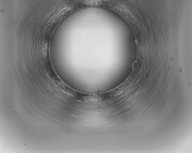 X0000060270652200511112048