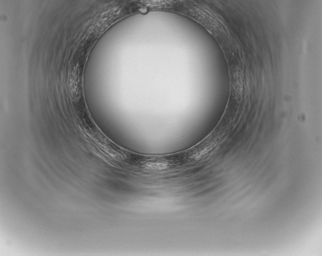 X0000060270653200511112048