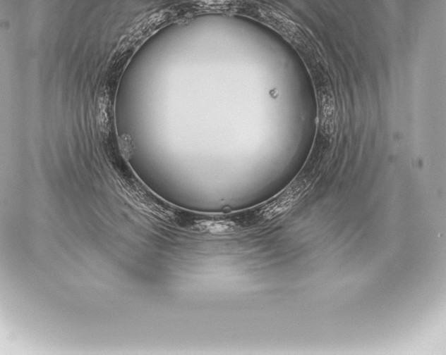 X0000060270654200511112048