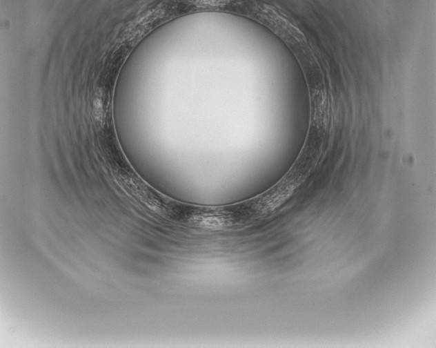 X0000060270655200511112048