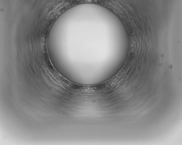 X0000060270656200511112048