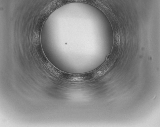 X0000060270657200511112048