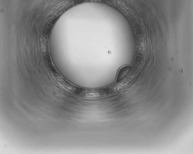 X0000060270658200511112048