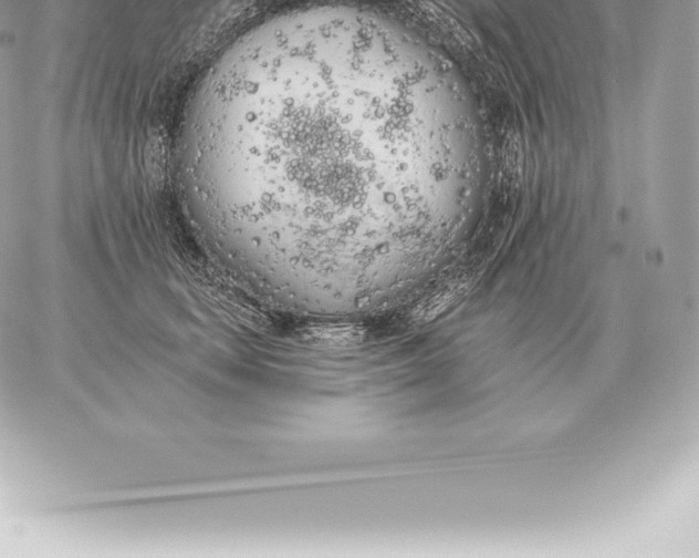 X0000060270659200511112048