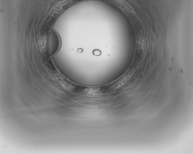 X0000060270660200511112048