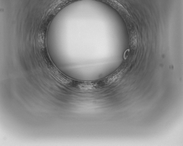 X0000060270661200511112048