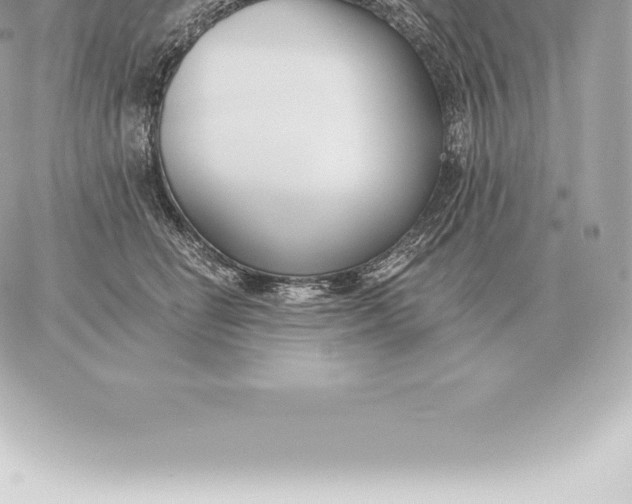 X0000060270662200511112048