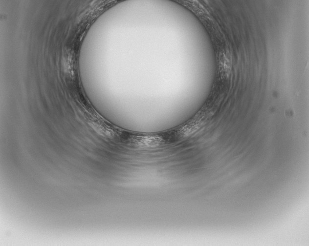 X0000060270663200511112048