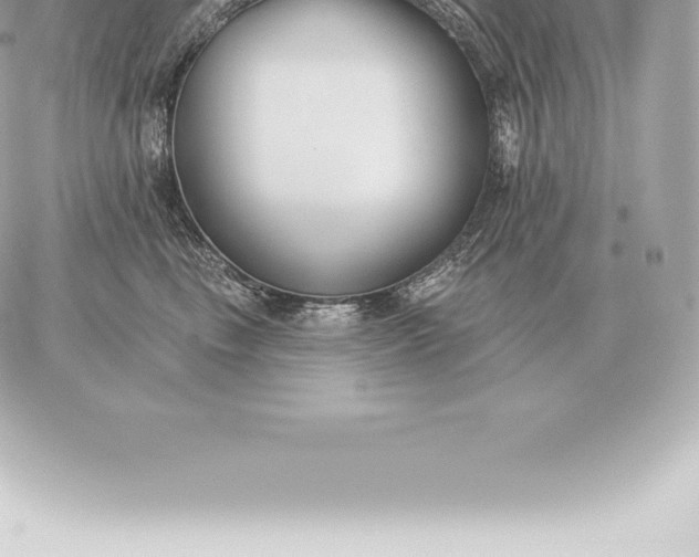 X0000060270665200511112048