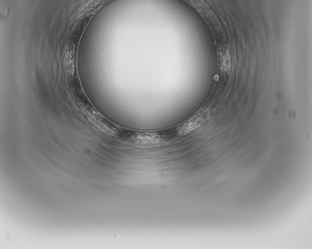 X0000060270666200511112048