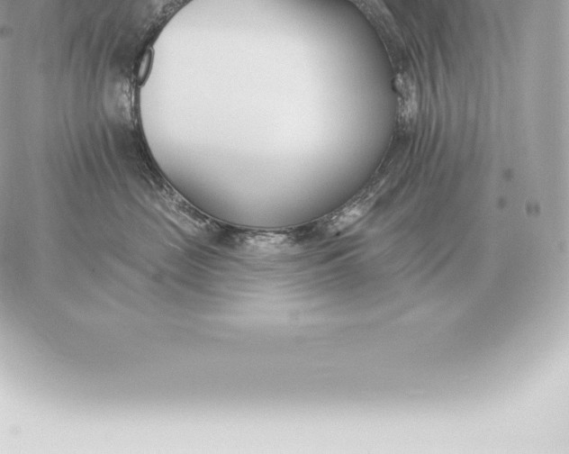 X0000060270669200511112048