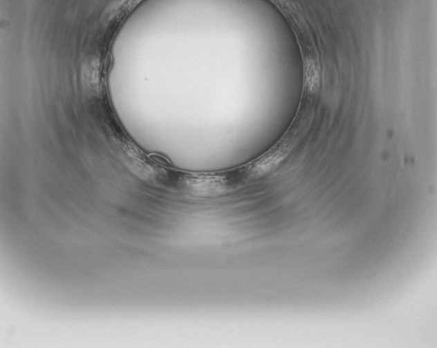 X0000060270670200511112048