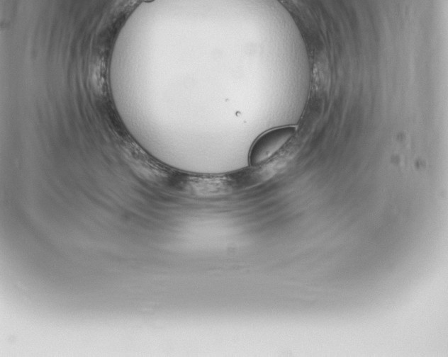 X0000060270671200511112048