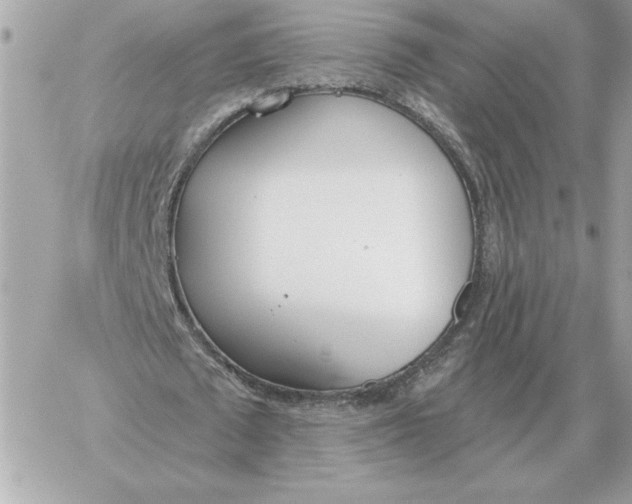 X0000060270673200511112048