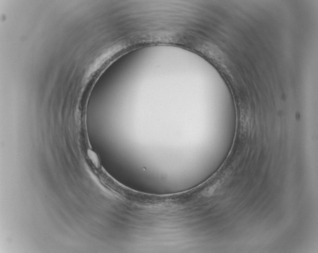 X0000060270674200511112048