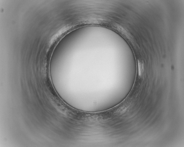 X0000060270675200511112048