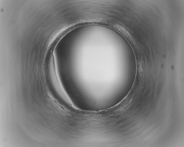 X0000060270676200511112048