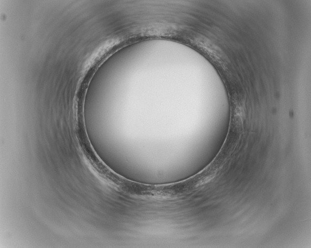 X0000060270678200511112047