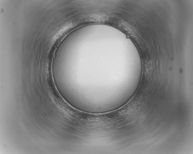 X0000060270679200511112047