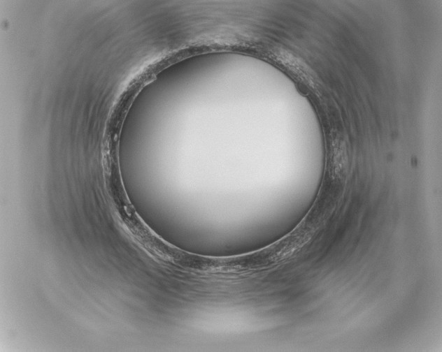 X0000060270680200511112047