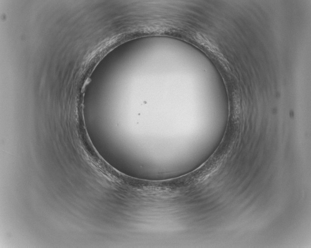 X0000060270681200511112047