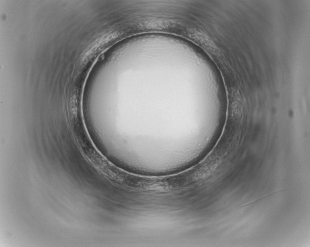 X0000060270683200511112047