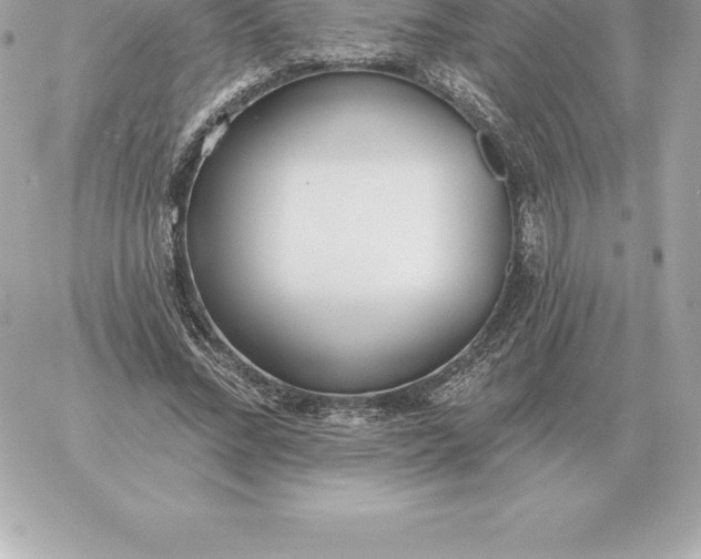 X0000060270684200511112047